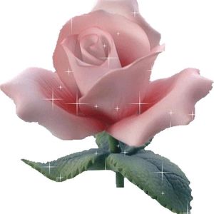 Meet your Posher, Sanaa